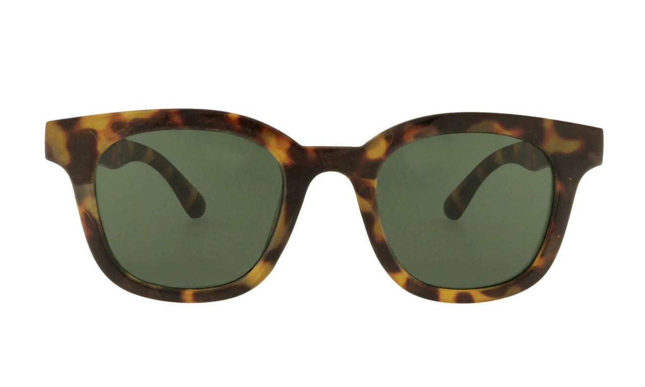 Sunglass Paul