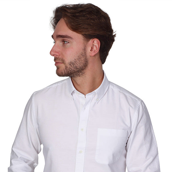 Falcon Shirtbird