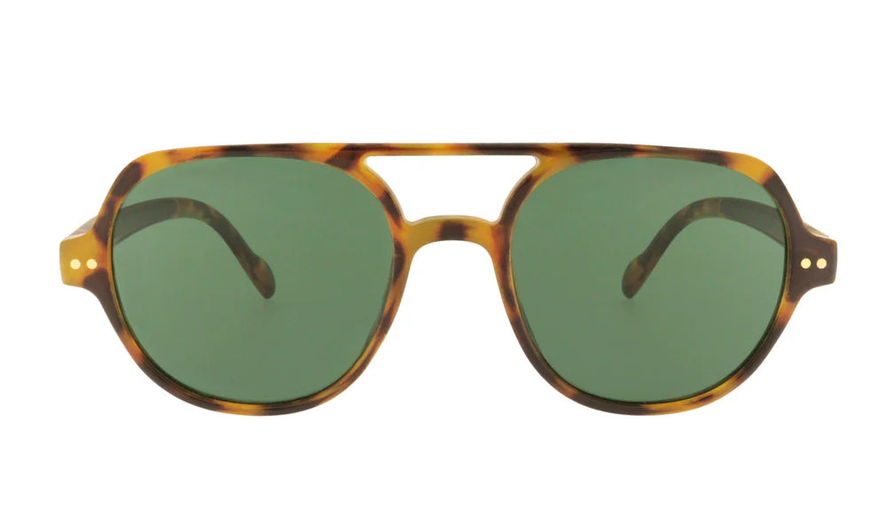 Sunglass Freddie