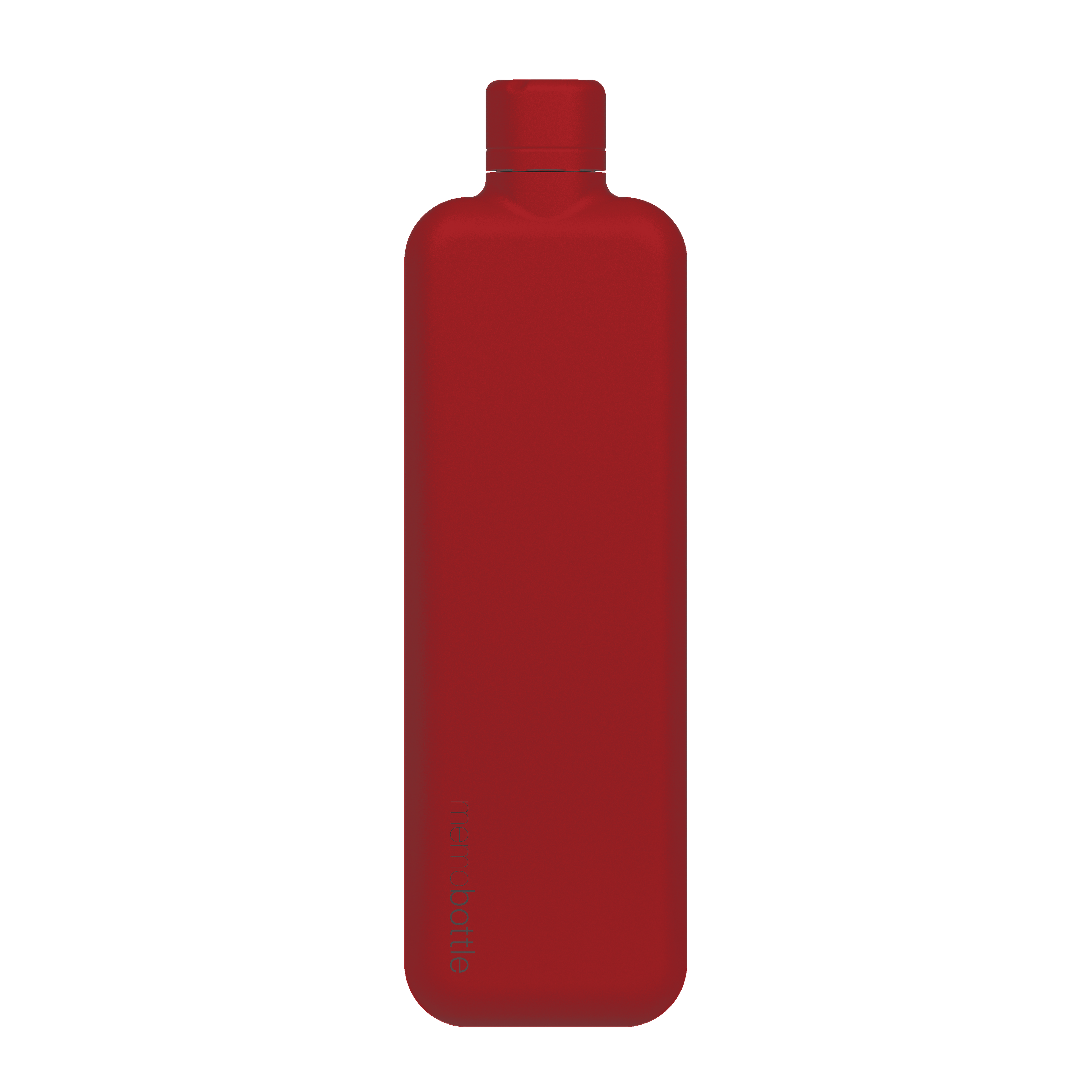 Memobottle Stainless Steel
